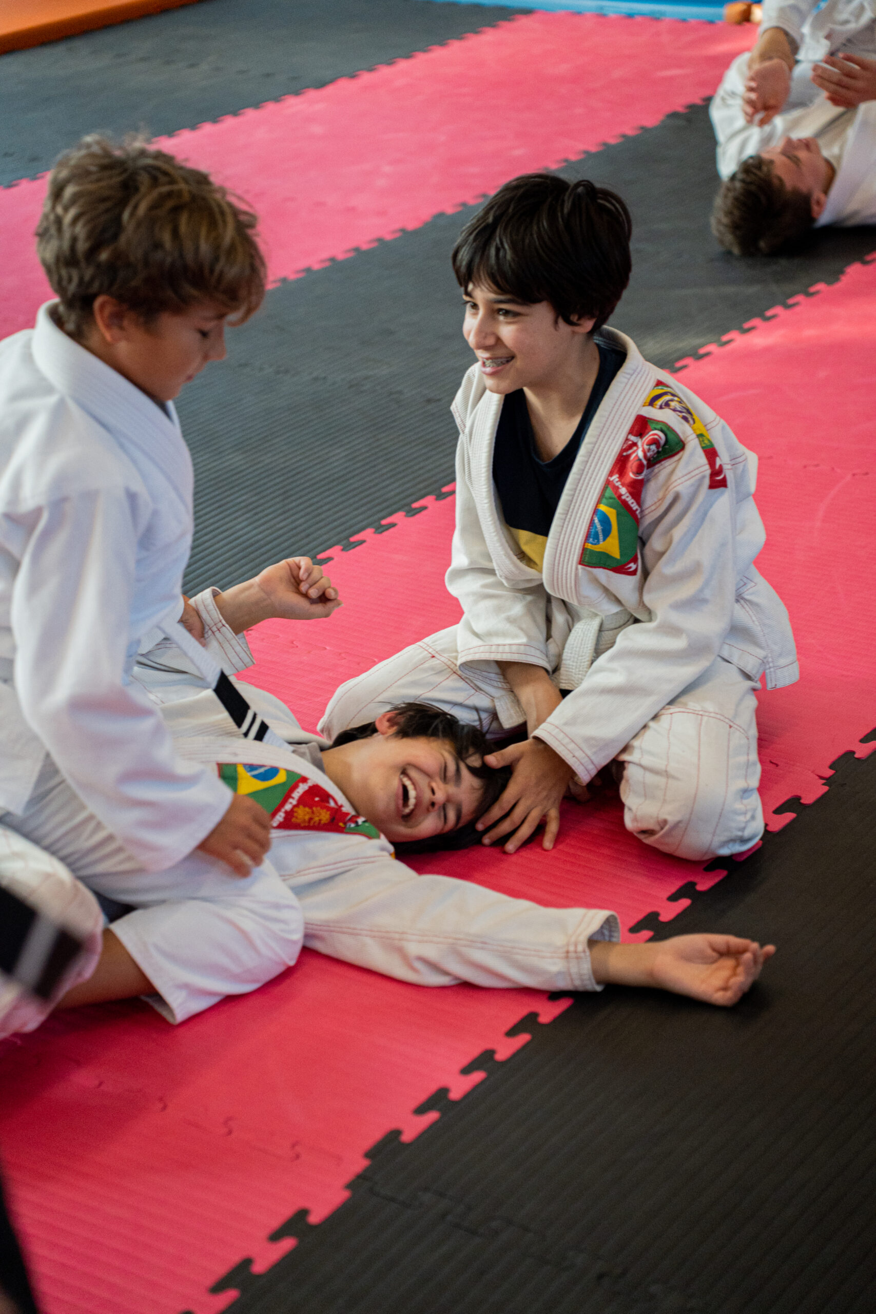 Sportschule Kampfsportschule Selbstverteidigung Jiu-Jitsu