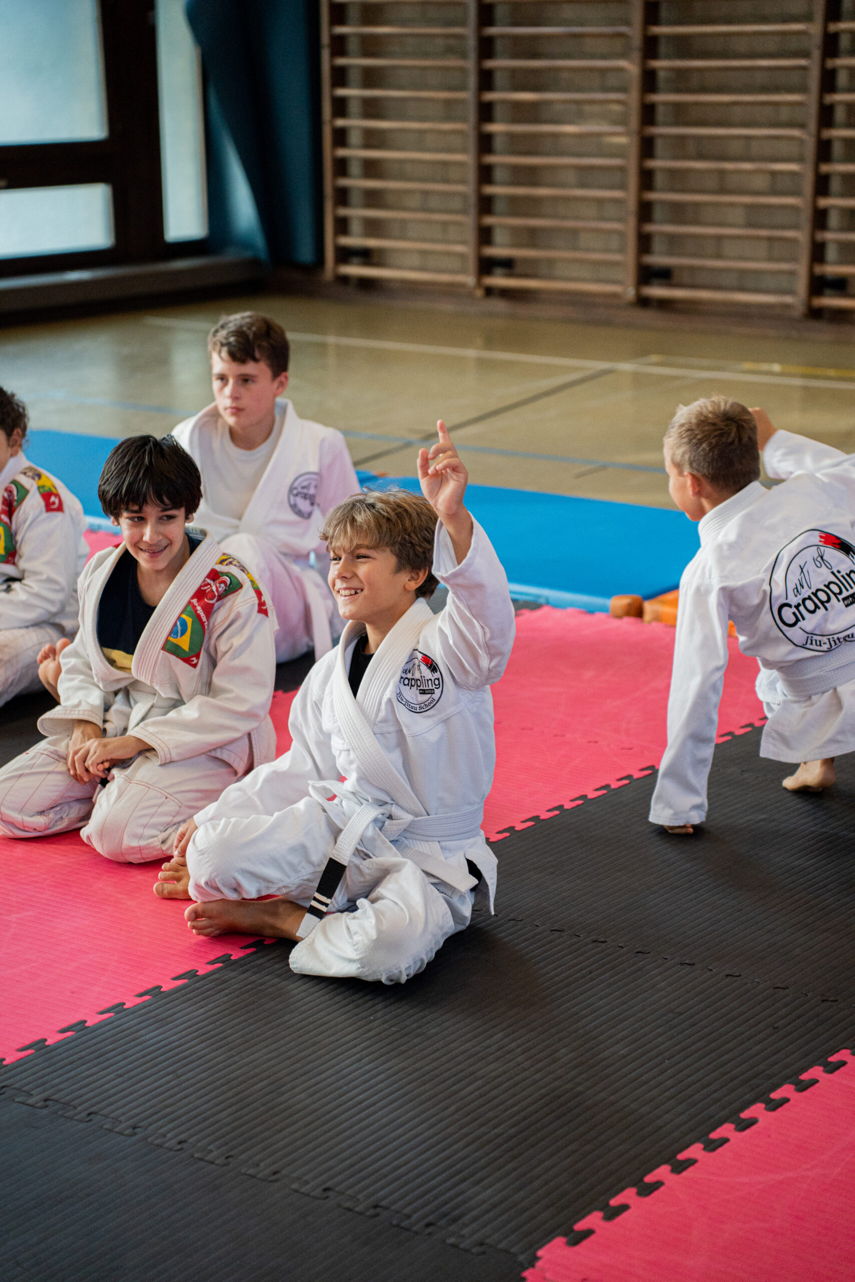 Sportschule Kampfsportschule Selbstverteidigung Jiu-Jitsu