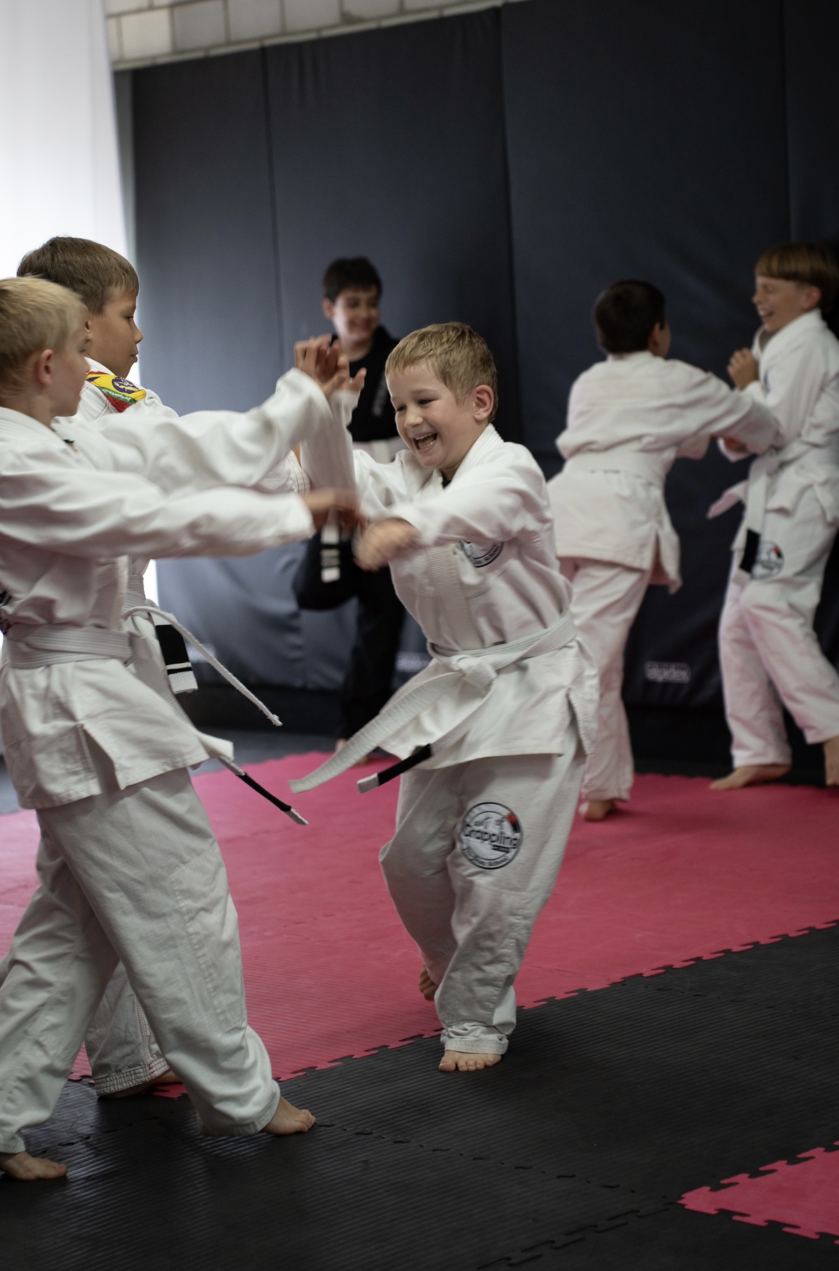 Sportschule Kampfsportschule Selbstverteidigung Jiu-Jitsu